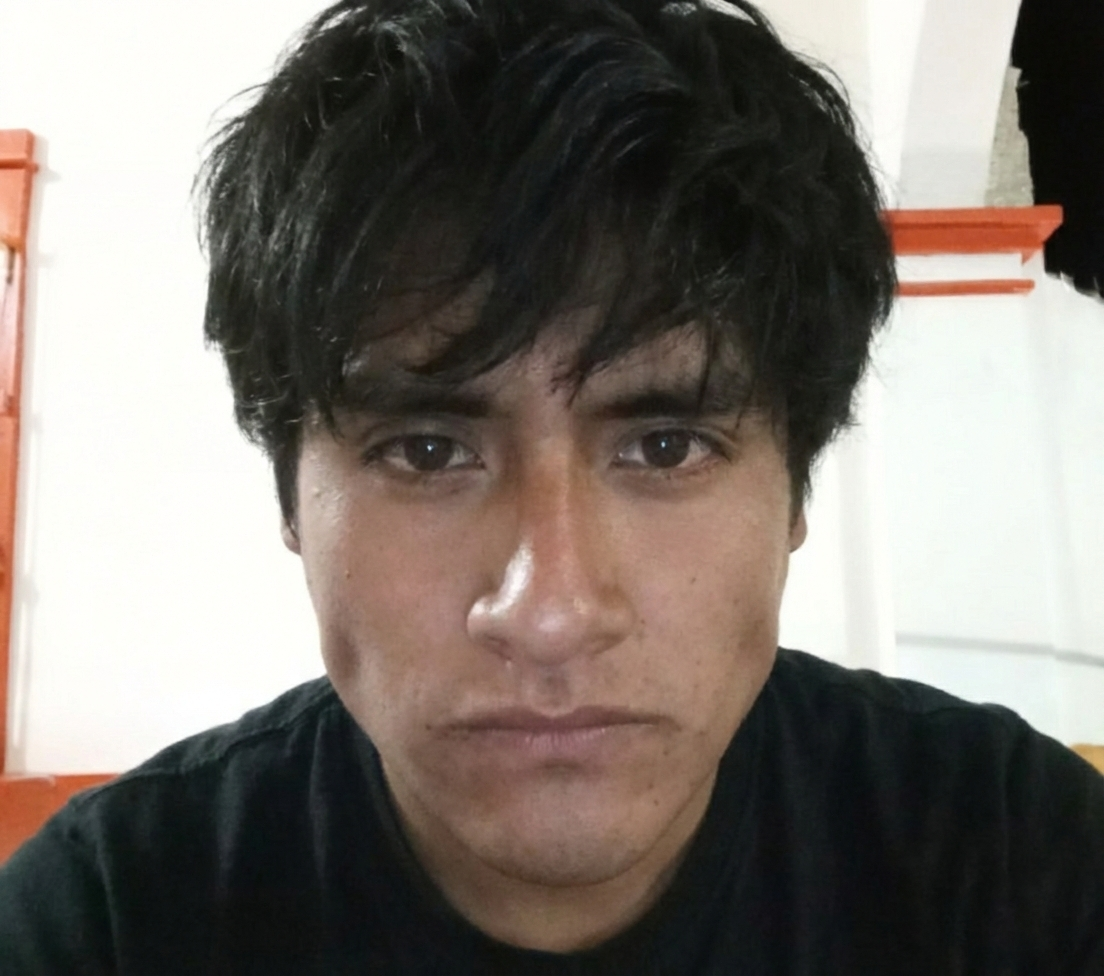 <em><strong>Andrés T.</strong></em>